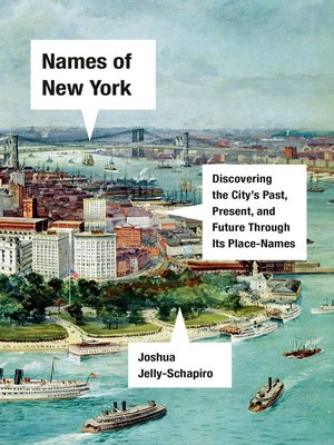 cover image of Names of New York